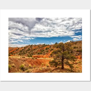 Capitol Reef National Park Posters and Art